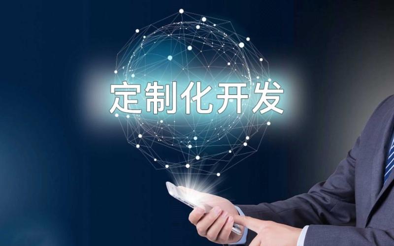 定制软件开发:您的企业也可以拥有专属翅膀
