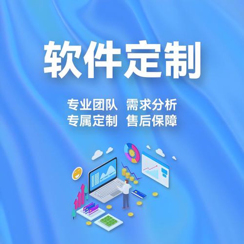 软件开发定制:构筑企业数字化未来的桥梁